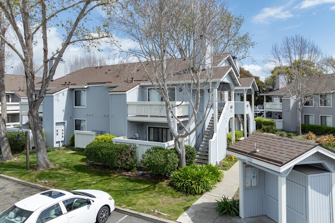 The Cove at Marina Bay in Richmond, CA - Building Photo
