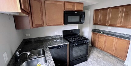 1920 W 21st Pl in Chicago, IL - Building Photo - Building Photo