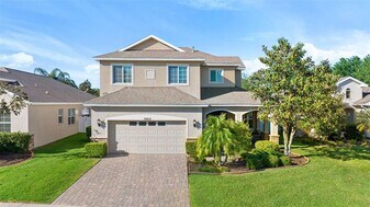 19419 Red Sky Ct in Land O Lakes, FL - Building Photo