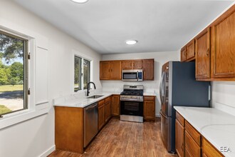 355 Chestnut in Howard City, MI - Building Photo - Building Photo