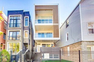 1021 N Hermitage Ave in Chicago, IL - Building Photo