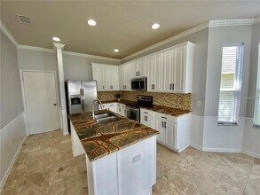 30407 Princess Bay Dr in Wesley Chapel, FL - Building Photo - Building Photo