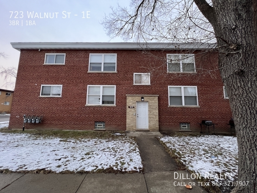 723 Walnut St in Waukegan, IL - Building Photo