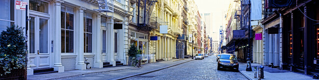 Homes for rent in Soho, NY