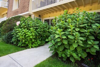 61 Seaview Ave, Unit #33 in Stamford, CT - Foto de edificio - Building Photo