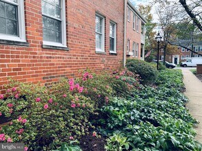 1302 Belle View Blvd in Alexandria, VA - Building Photo - Building Photo