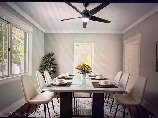 17580 Northrop St in Detroit, MI - Building Photo - Building Photo