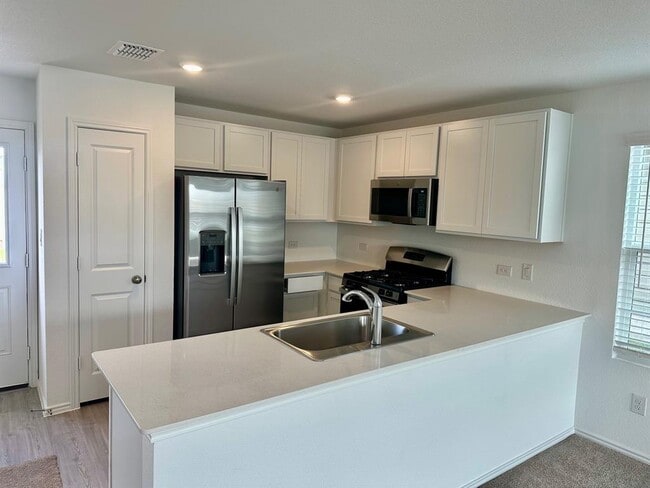 228 Sormonne Lp in Kyle, TX - Building Photo - Building Photo