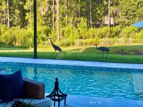 1729 Drummond Pt in Zephyrhills, FL - Building Photo - Building Photo