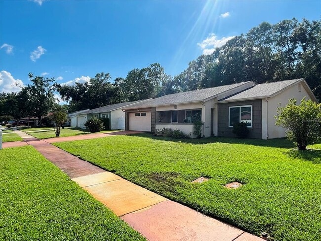 1144 Lanyard St in Palm Harbor, FL - Building Photo - Building Photo