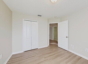 37519 Tim Tam Pl in Wesley Chapel, FL - Foto de edificio - Building Photo