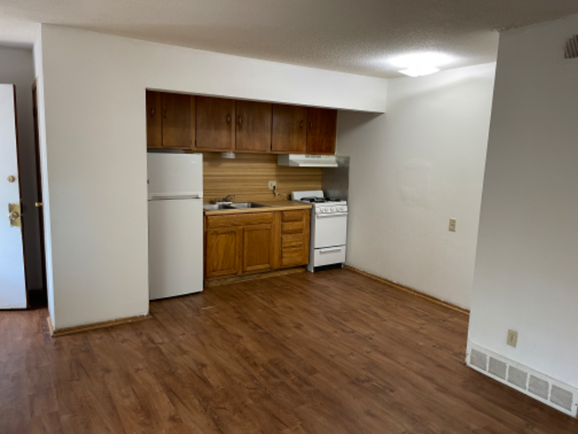1008 S 30th Ave, Unit 9 in Omaha, NE - Building Photo - Building Photo