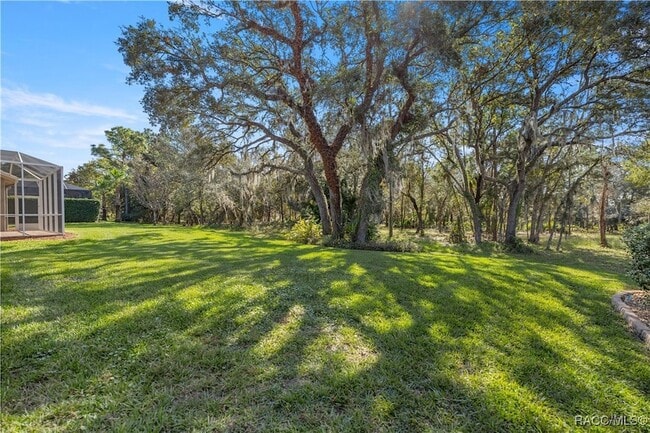 1075 W Diamond Shore Loop in Hernando, FL - Building Photo - Building Photo