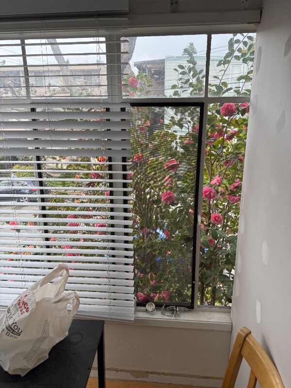 2480 Virginia St in Berkeley, CA - Building Photo - Building Photo