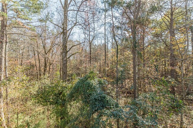1224 Woodfield Trce in Lithonia, GA - Building Photo - Building Photo
