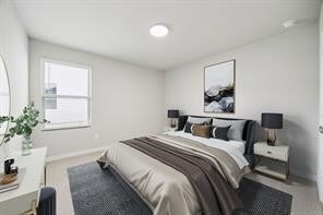 1006 Rosemary Hl Dr in McKinney, TX - Building Photo - Building Photo