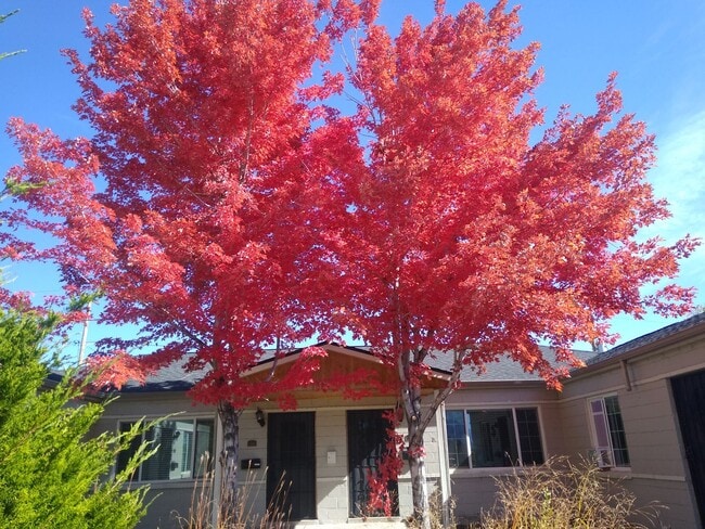 property at 3310 Adams St