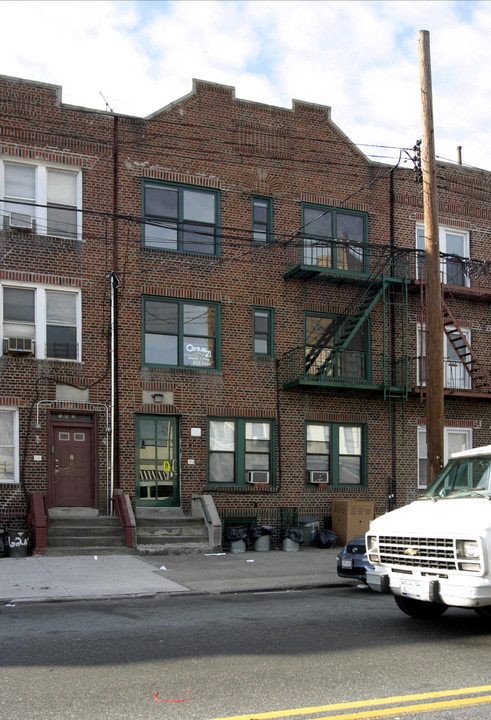 774 Albany Ave in Brooklyn, NY - Foto de edificio