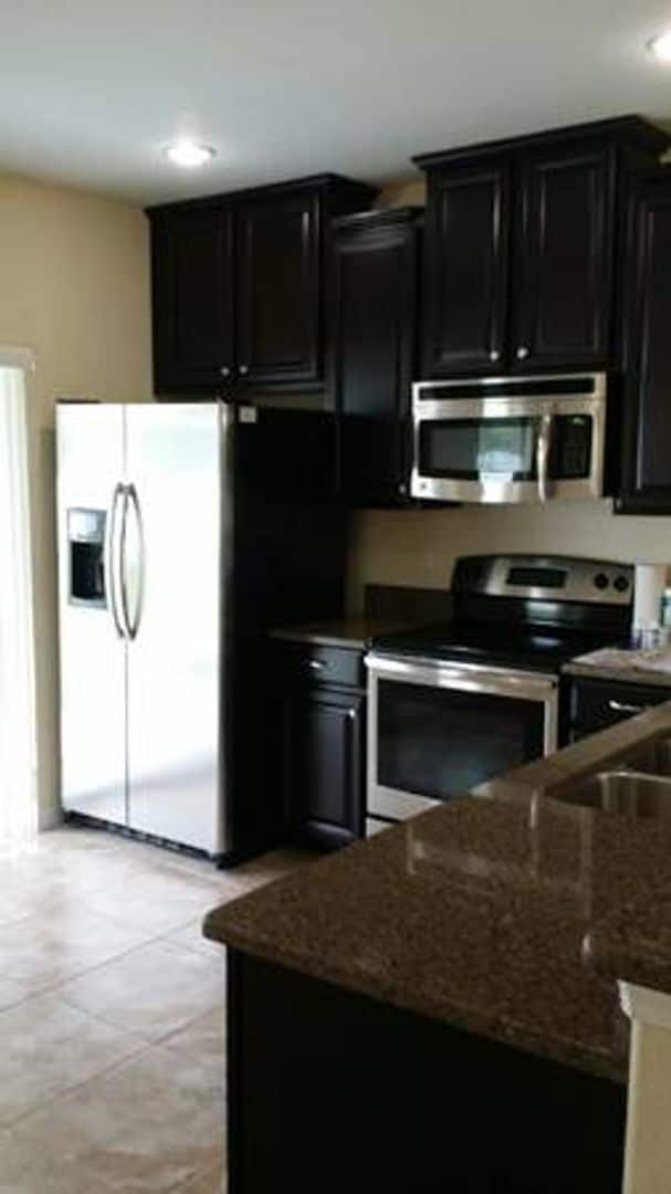 20013 Satin Leaf Ave in Tampa, FL - Building Photo - Building Photo