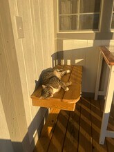 373 T Johnson Rd in Carthage, NC - Building Photo - Building Photo