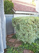 1066 Thistlegate Rd in Oak Park, CA - Building Photo - Building Photo