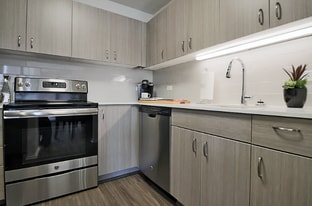 1120 N Dearborn St in Chicago, IL - Building Photo