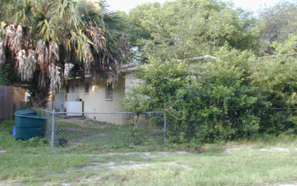 1409 E Seneca Ave in Tampa, FL - Building Photo