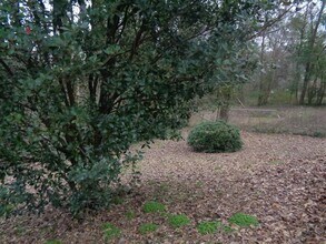 1627 Hasty Pl NW in Atlanta, GA - Building Photo - Building Photo