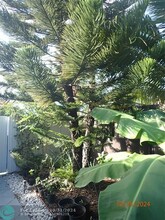 2833 SW 23rd St in Miami, FL - Foto de edificio - Building Photo