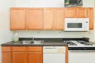 3902 W Argyle St, Unit A4 in Chicago, IL - Building Photo - Building Photo