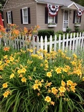 443 Wenonah St in Traverse City, MI - Building Photo - Building Photo