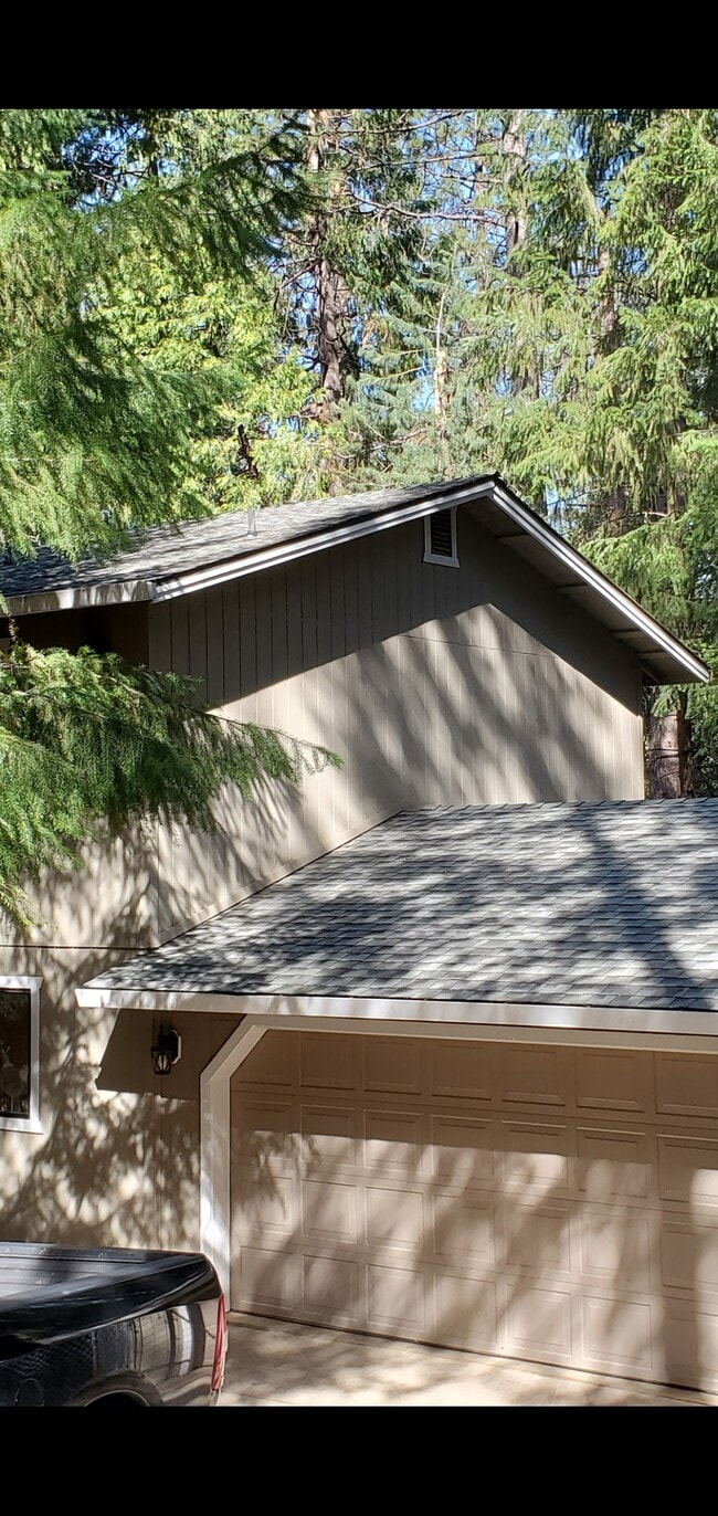 18111 N Meadow Dr in Pioneer, CA - Building Photo - Building Photo