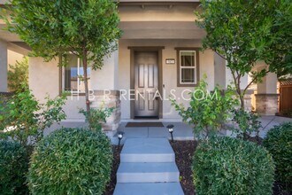 312 E Liverno Ave in Mountain House, CA - Foto de edificio - Building Photo