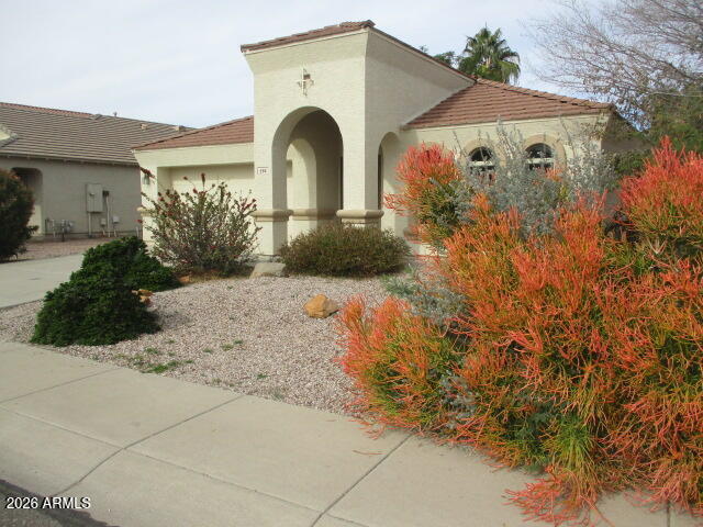 694 E Saddle Way in San Tan Valley, AZ - Building Photo - Building Photo