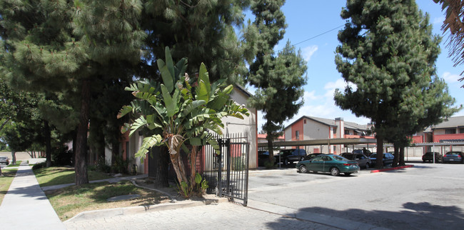 Paramount Apartments in Paramount, CA - Foto de edificio - Building Photo