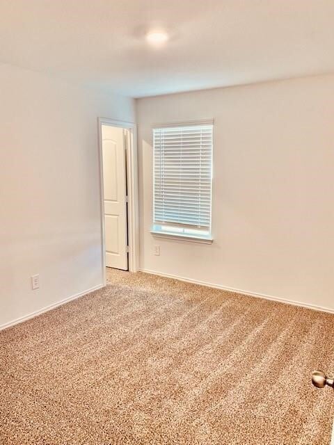 5139 Ternberry Frst Ln