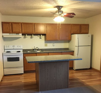 316 & 400 Monitor Apartments in La crosse, WI - Building Photo - Building Photo