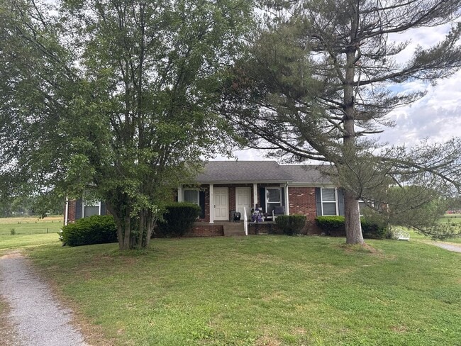 property at 226 Drifting Cir