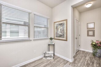 1736 Cherokee Nation Trl in Leander, TX - Building Photo - Building Photo