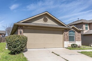 19109 Great Falls Dr in Manor, TX - Building Photo