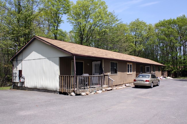 113 Constance Ct in Long Pond, PA - Foto de edificio - Building Photo