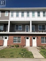 1225 Cornerstone St NE in Calgary, AB - Building Photo