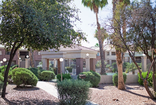 Palm Terrace Apartments in Chandler, AZ - Building Photo - Building Photo