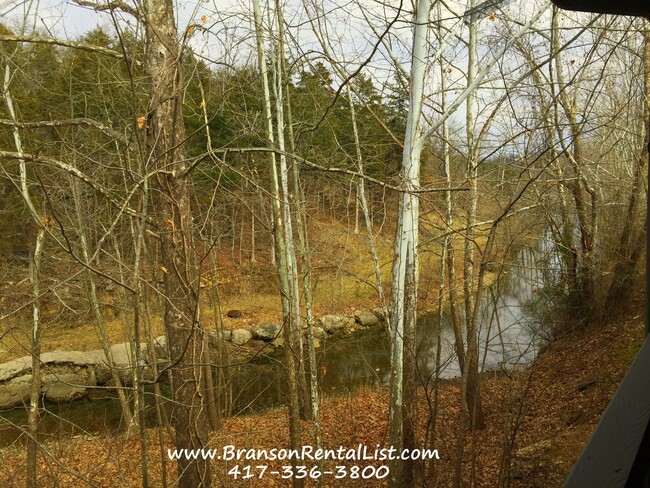 7831 Cozy Cove Rd-Unit -Suite 31 in Branson, MO - Building Photo - Building Photo