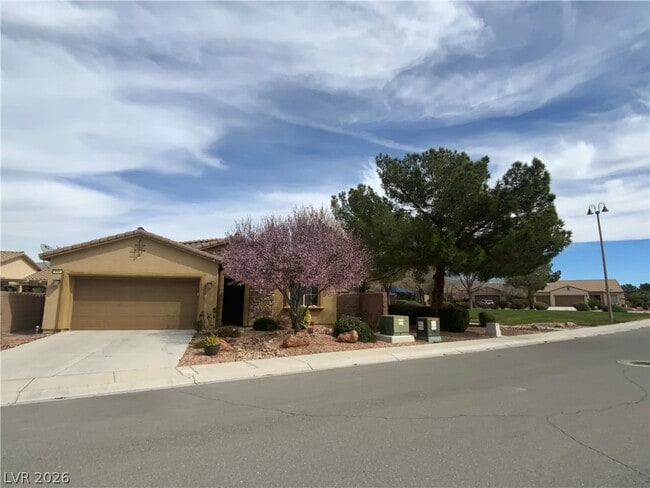 4936 Semifonte Dr in Pahrump, NV - Building Photo - Building Photo