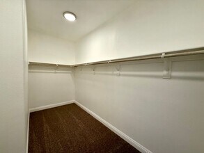 2455 Silver Blossom Ln in Henderson, NV - Building Photo - Building Photo