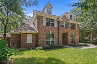 23 Vista Mill Pl in Spring, TX - Building Photo