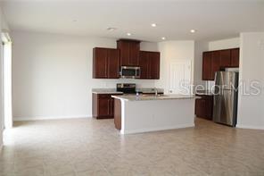 18291 Falling Pine Needle Ln in Land O Lakes, FL - Building Photo - Building Photo