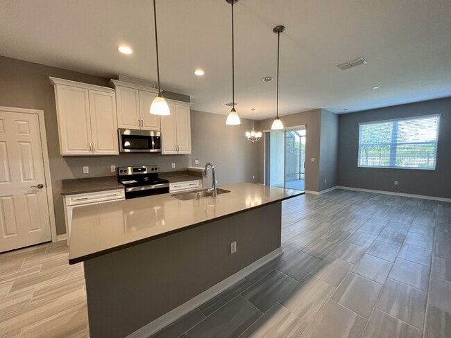 29817 Southwell Ln in Wesley Chapel, FL - Building Photo - Building Photo