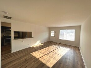 305 N Gregory St in Aurora, IL - Foto de edificio - Building Photo